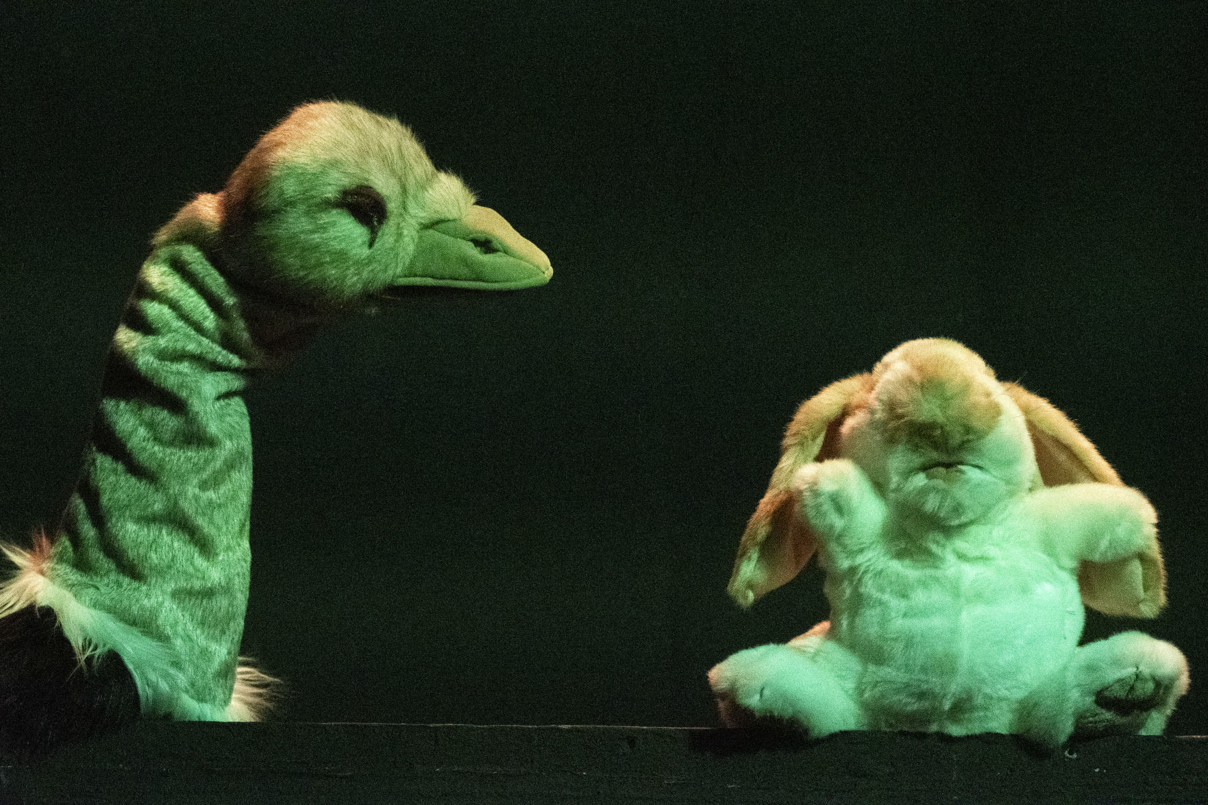 The Puppet Tree
